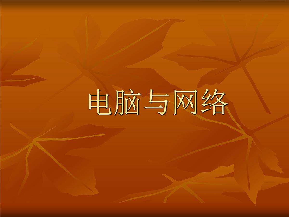 岳麓版高中历史必修3 6-26《改变世界的高新科技》课件第5页