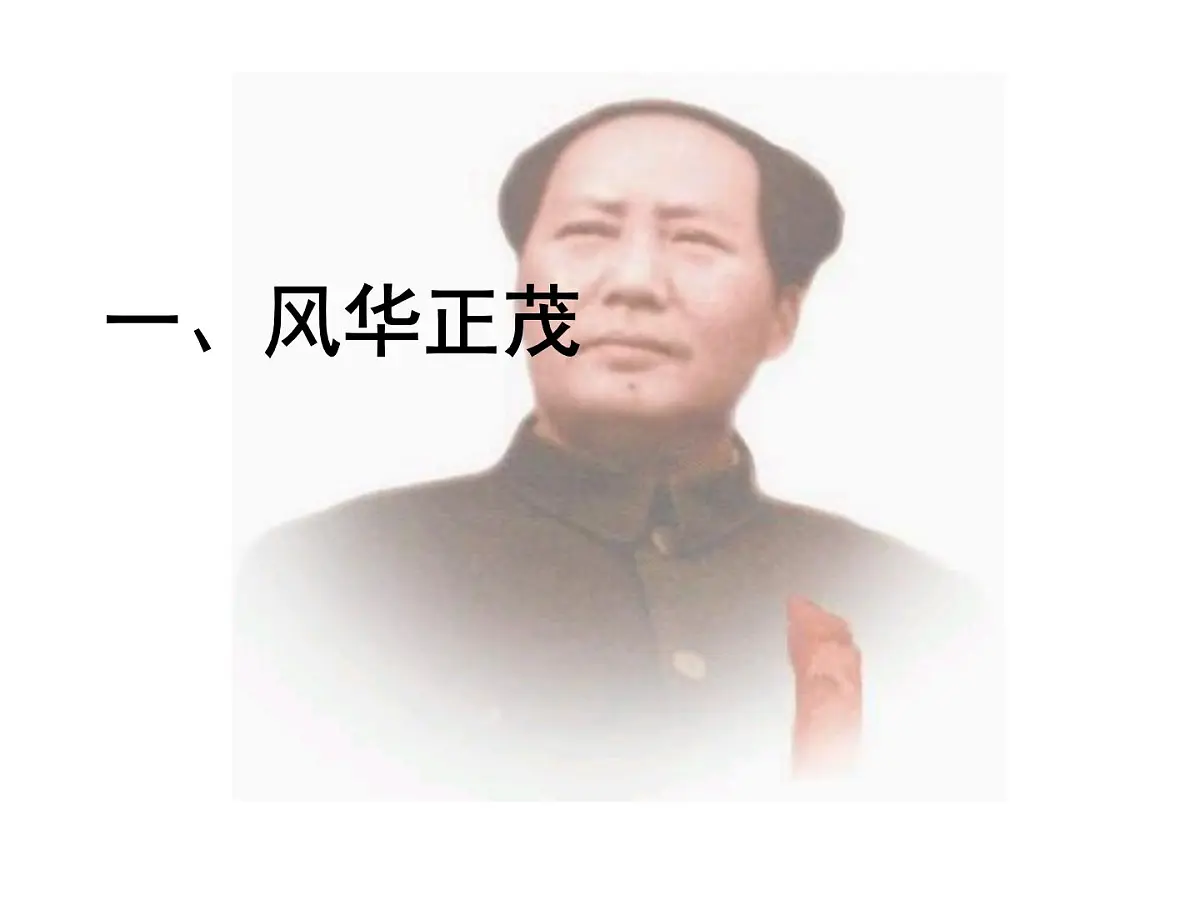 岳麓版高中历史选修4 4-15《新中国的缔造者毛泽东》课件第4页