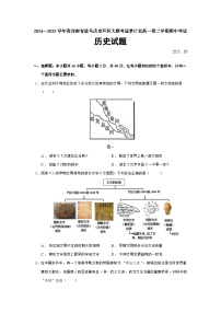 2024—2025学年度河南省驻马店市环际大联考逐梦计划高一第二学期期中考试历史试题(含答案)