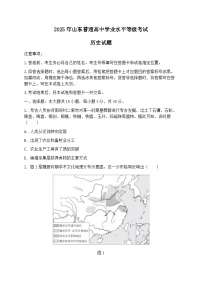 2025年山东省高考真题 历史试题及答案解析（原卷版+解析版）