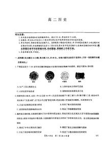 河南省南阳市九师联盟2024-2025学年高二下学期6月期末考试历史试卷（PDF版附解析）