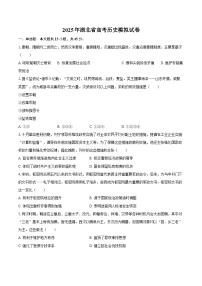 2025年湖北省高考历史模拟试卷（解析版）