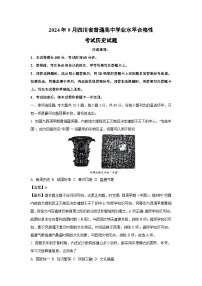 2024年9月四川省普通高中学业水平合格性考试历史试卷（解析版）