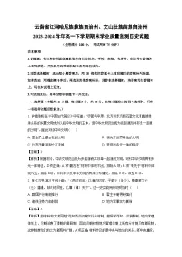 云南省红河哈尼族彝族自治州、文山壮族苗族自治州2023-2024学年高一下期末学业质量监测历史试卷(解析版)