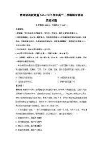 【历史】青海省名校联盟2024-2025学年高二上学期期末联考试题（解析版）