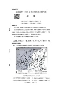 湖南省佩佩教育2025届2月高三开学联考历史试题（含答案）