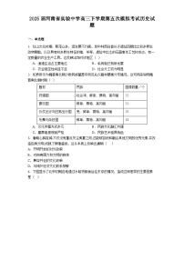 2025届河南省实验中学高三下学期第五次模拟考试历史试题(含答案)