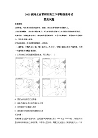 2025届河北省邯郸市高三下保温考试历史试卷（解析版）