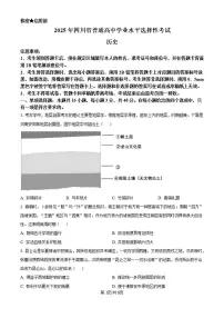 【历史 四川卷】2025年四川省高考招生统一考试真题历史试卷（真题+答案）