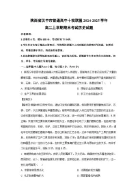 陕西省汉中市普通高中十校联盟2024-2025学年高二上学期期末考试历史试卷（解析版）