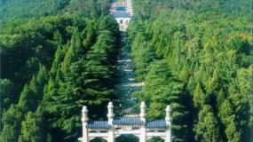 高中历史岳麓版必修3 文化发展历程孙中山和他的民主追求图文课件ppt