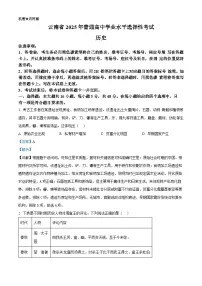 2025年高考真题——历史（云南卷） Word版含解析