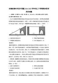 安徽省滁州市县中联盟2024-2025学年高二下学期期末联考历史试卷（解析版）