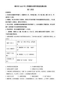 湖南省郴州市2024-2025学年高二下学期期末教学质量监测历史试卷（Word版附解析）
