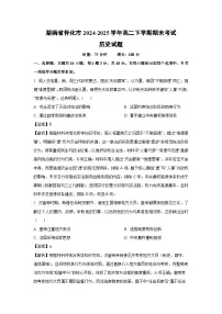 湖南省怀化市2024-2025学年高二下学期期末考试历史试卷(解析版)