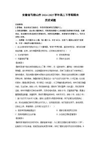 安徽省马鞍山市2024-2025学年高二下学期期末历史试卷（解析版）