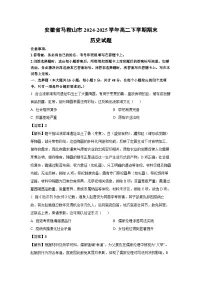 安徽省马鞍山市2024-2025学年高二下学期期末历史试卷（解析版）