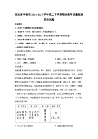 河北省辛集市2024-2025学年高二下学期期末教学质量监测历史试卷(解析版)