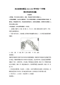 河北省雄安新区2024-2025学年高一下学期期末考试历史试卷（解析版）