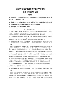 2025年山西省普通高中学业水平合格性适应性考试历史试卷（解析版）