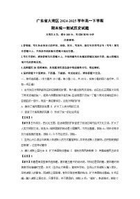 广东省大湾区2024-2025学年高一下学期期末统一测试历史试卷（解析版）