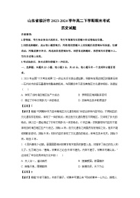 山东省临沂市2023-2024学年高二下期末考试历史试卷（解析版）