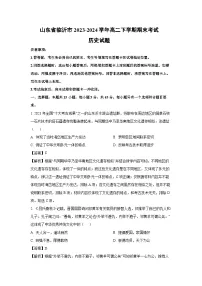 山东省临沂市2023-2024学年高二下期末考试历史试卷(解析版)