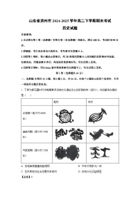山东省滨州市2024-2025学年高二下学期期末考试历史试卷（解析版）