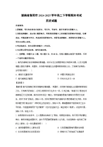 湖南省衡阳市2024-2025学年高二下学期期末考试历史试卷（解析版）