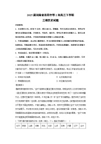 2025届河南省洛阳市等2地高三下学期三模历史试题（解析版）