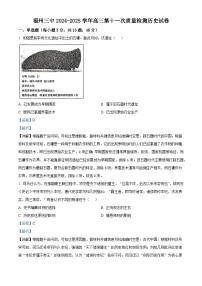2025届福建省福州第三中学高三下学期第十一次质量检测历史试题（含答案解析）