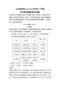 山东省邹城市2024-2025学年高一下学期期中教学质量检测试题历史试卷（解析版）