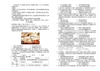吉林省长春市2024_2025学年高一历史下学期期中测试