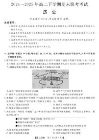 河南省金科新未来2024-2025学年高二下学期期末联考考试历史试卷