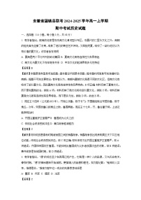 安徽省固镇县联考2024-2025学年高一上学期期中考试历史试卷（解析版）