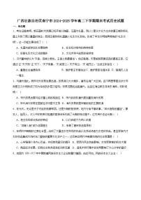 广西南宁市部分学校2024-2025学年高二下学期6月期末教学质量监测历史试卷