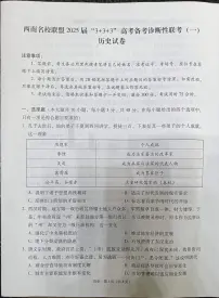 2025届西南名校联盟高三3+3+3高考备考诊断性联考（一）历史试卷+答案