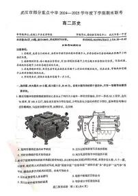 湖北省武汉市部分重点中学2024-2025学年高二下学期期末联考历史试卷（含答案）