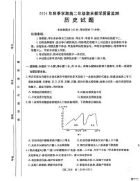 广西壮族自治区崇左市2024-2025学年高二上学期1月期末考试历史试卷