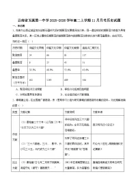 云南省玉溪第一中学2025-2026学年高二上学期11月月考历史试卷