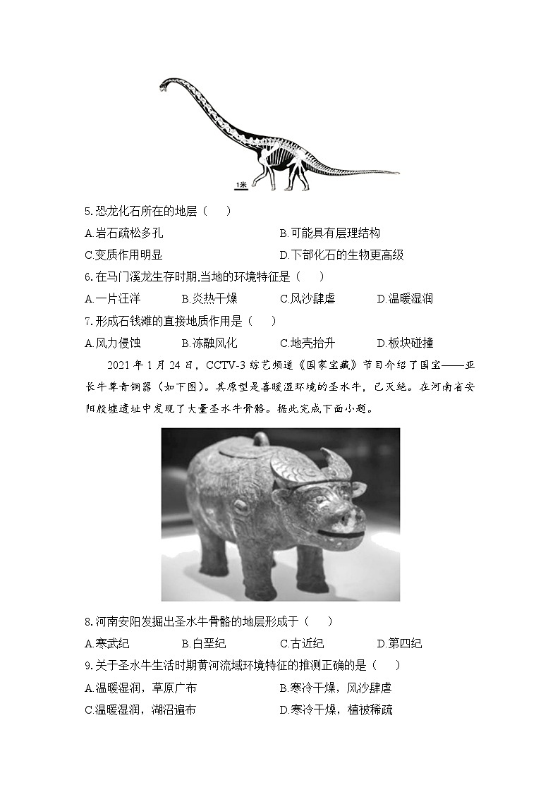 1.3.2地球的历史——高一地理人教版(2019)必修一精品同步分层练第3页