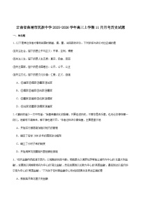 云南省曲靖市民族中学2026届高三上学期11月月考历史试卷（含答案）