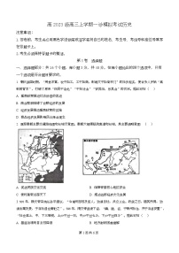 四川省泸州市合江县马街中学2026届高三上学期一模历史试题（Word版附解析）