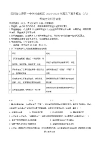 四川省仁寿第一中学南校区2025届高三下学期模拟考试（六）历史试题（Word版附解析）