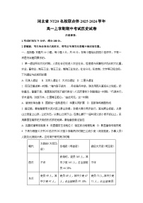 河北省NT20名校联合体2025-2026学年高一上学期期中考试历史试卷（学生版）