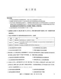 2025年九师联盟高三上学期11月历史试题无答案