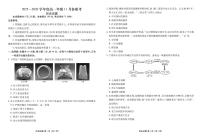 广东衡水金卷2025-2026学年度高一上学期11月份联考历史试卷（含答案）