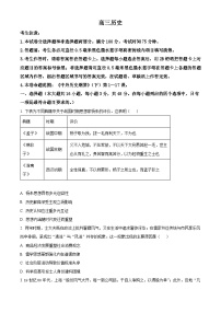 河南省九师联盟2026届高三上学期11月质量检测历史试题（Word版附解析）