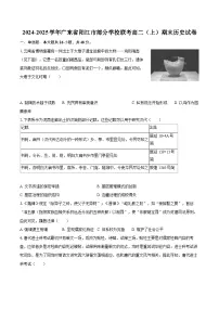 2024-2025学年广东省阳江市部分学校联考高二(上)期末历史试卷-自定义类型