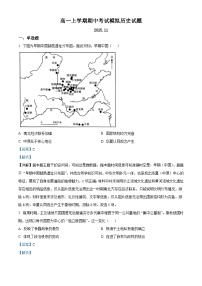 2025—2026学年度山东省潍坊第一中学高一上学期期中考试模拟历史试题（含答案）